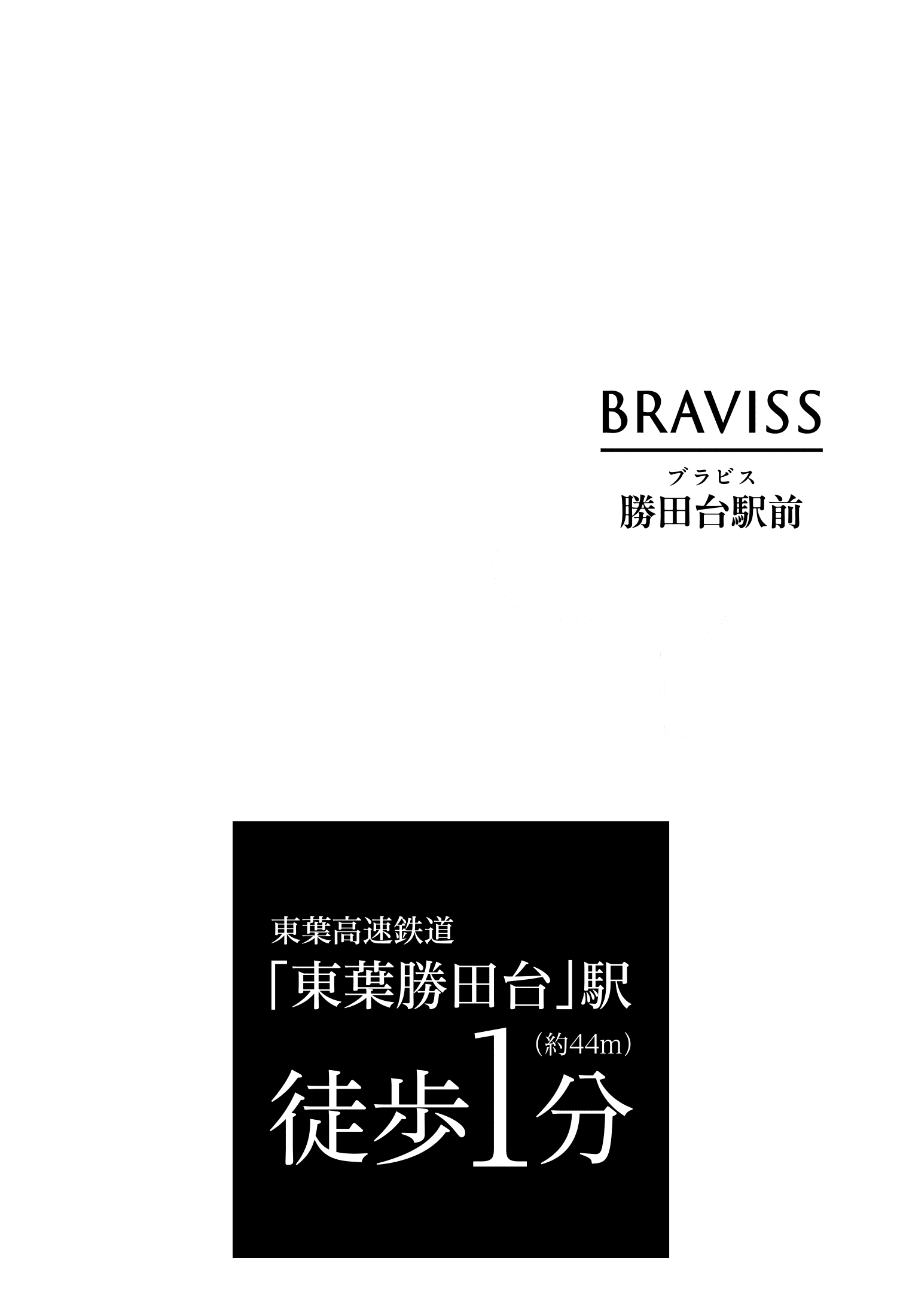 ブラビス勝田台駅前俯瞰図