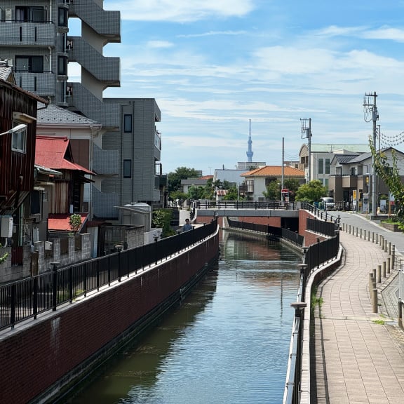 ブラビス
                  浦安堀江とは